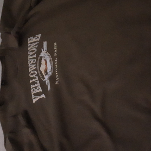 Brown hoodie Yellowstone